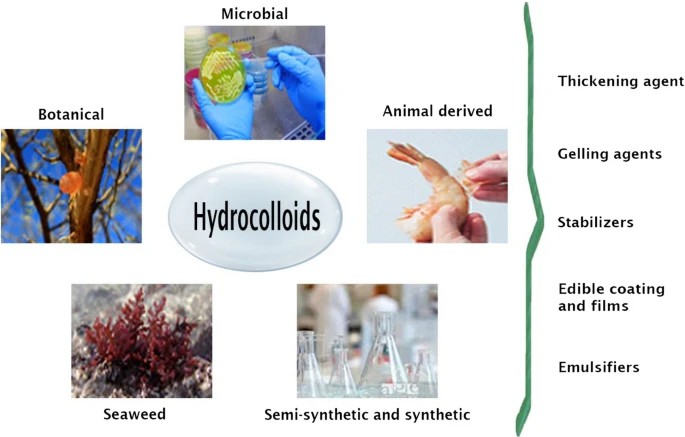 Hydrocolloid used in the food industry and their functional properties