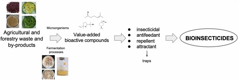 Fermentation production of bioinsecticides