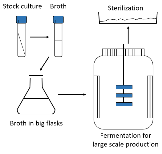 Production of Biofertilizers