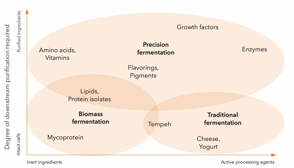 Precision Fermentation: The Farming Of The Future?