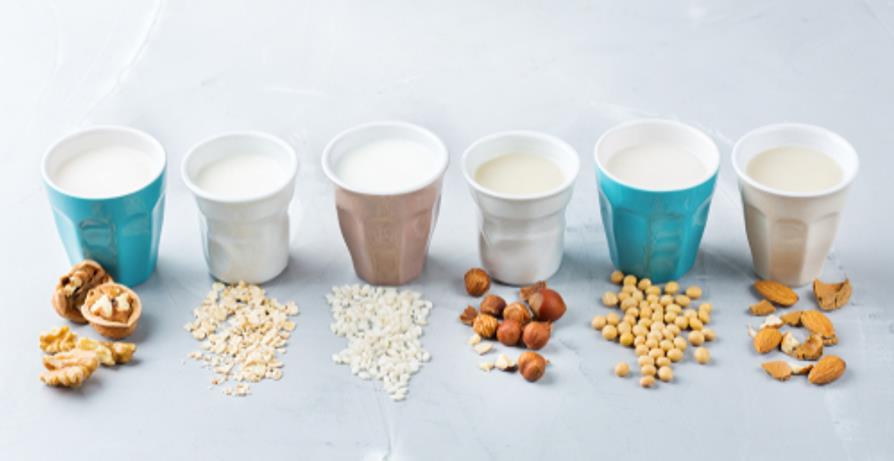 Fermentation for Dairy Alternatives