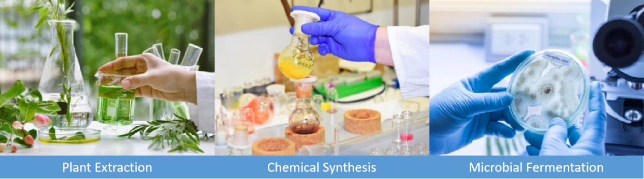 Fermentation for Plant Growth Regulators