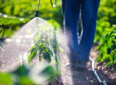 Fermentation in Agriculture