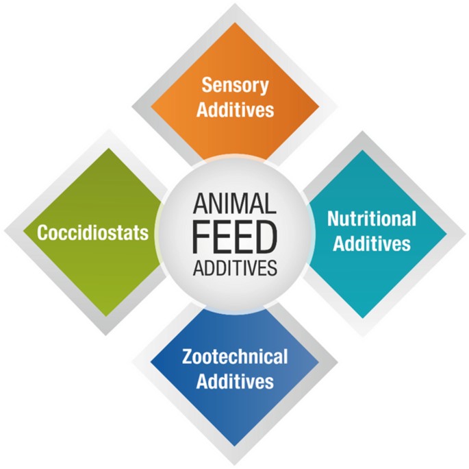 Feed Additives in Animal Health.