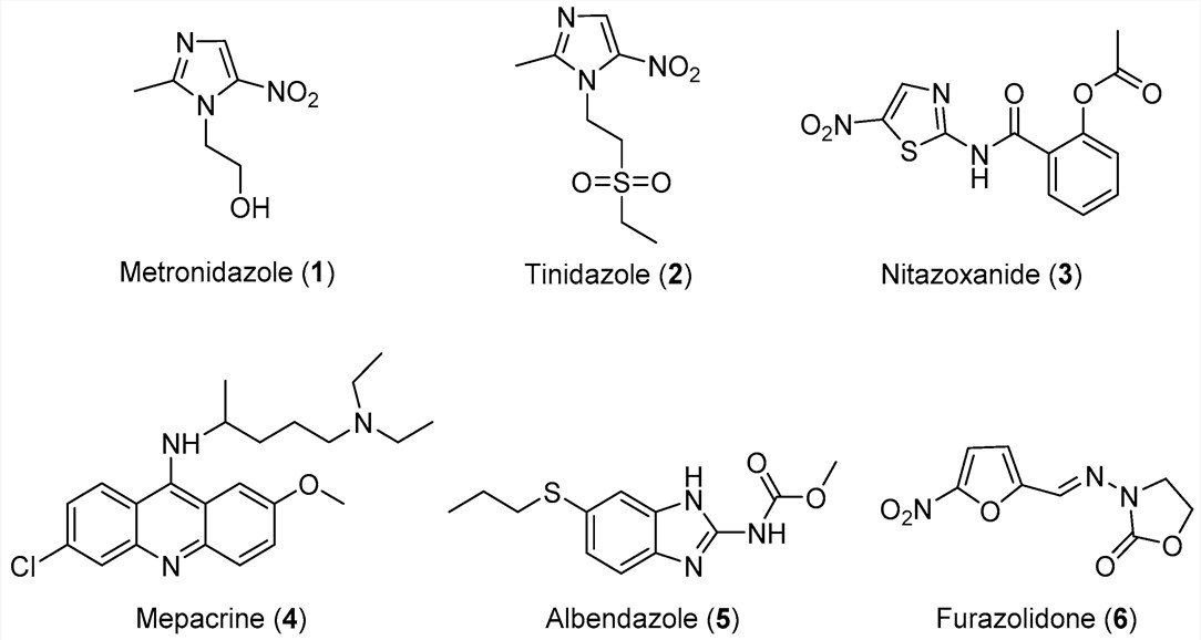 Currently available antiprotozoal compounds.