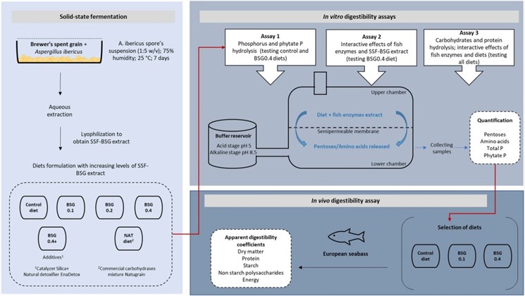 Schematic diagram of reverse-engineering approaches to drug discovery.