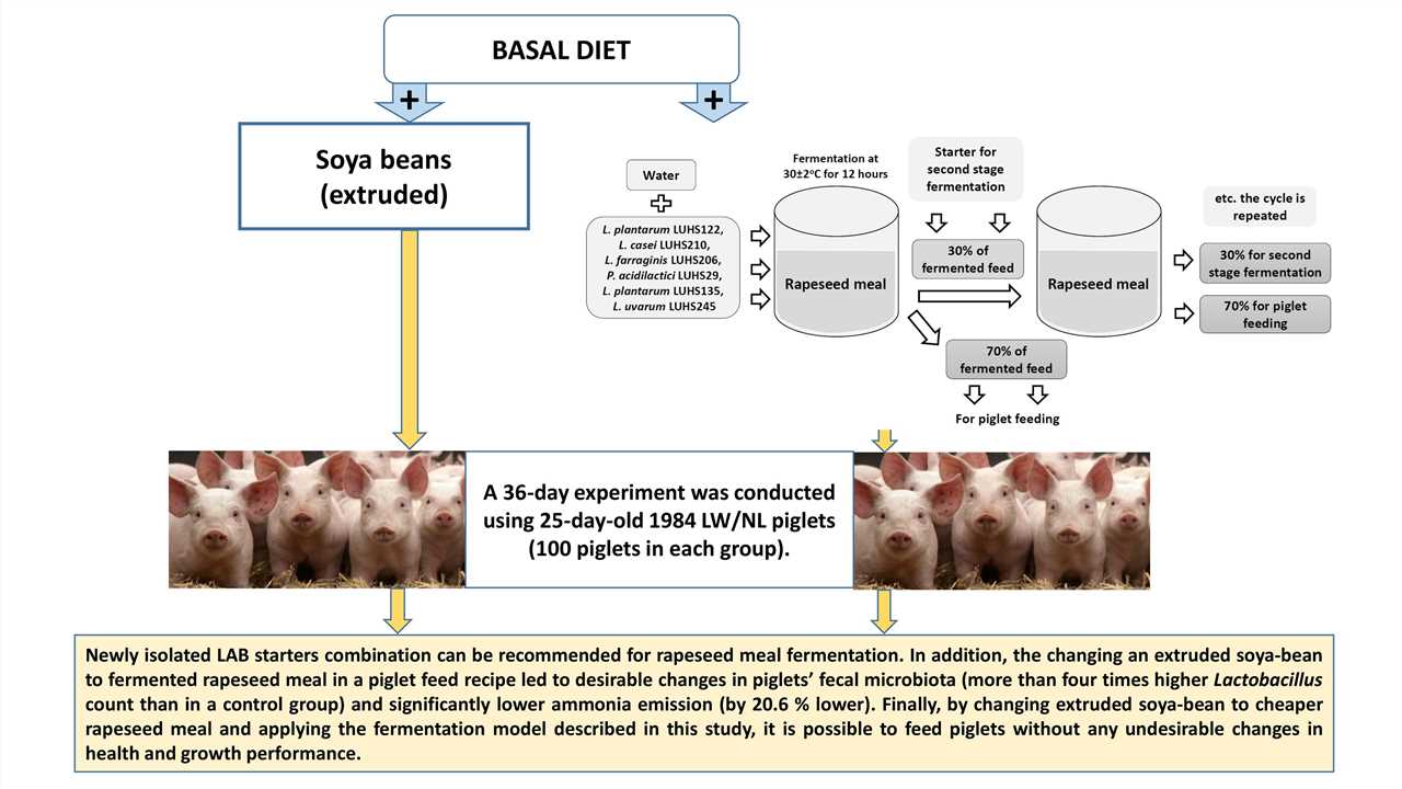 Pigs' Feed Fermentation Model with Antimicrobial Lactic Acid Bacteria Strains.