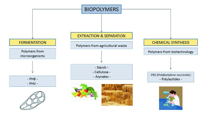 Various methods employed in the production of biopolymers.