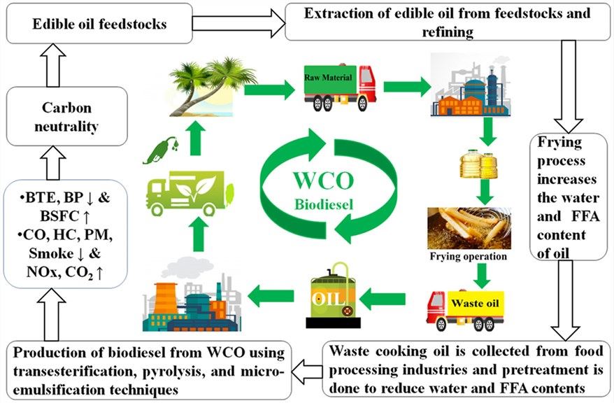 Schematic diagram of biodiesel production from waste cooking oil.