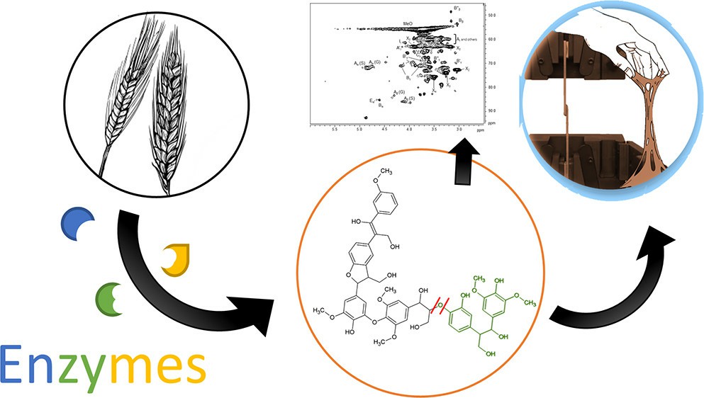 Solid-State Fermentation to Tune Lignin Properties and Its Use as a Binder in Adhesive Formulation.