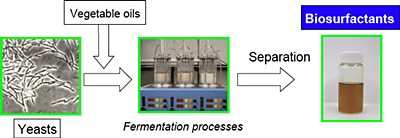 Biosurfactant Production Process.