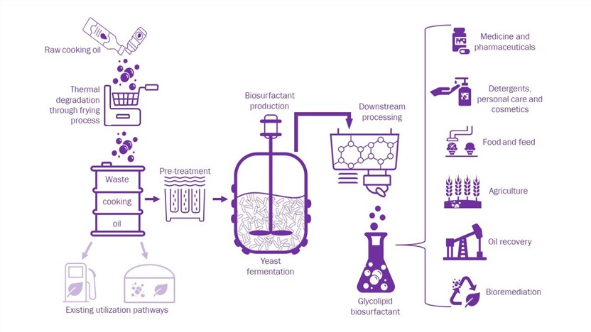 Biosurfactant Production from Waste Cooking Oils.