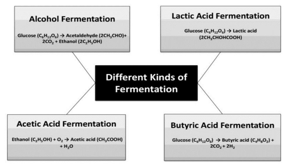 Different types of Fermentation.