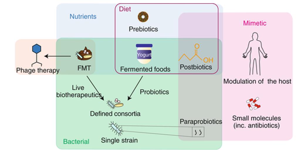 Microbiome-based therapeutics