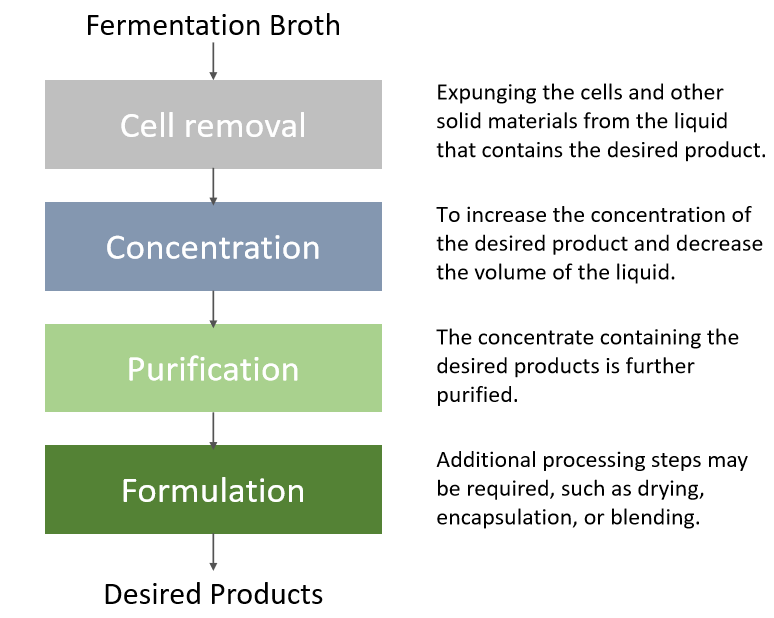 Fermentation Purification Service