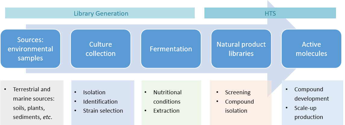 Fermentation for Antibacterial Agents