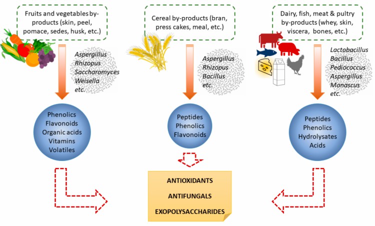 Antioxidants from food by-products sources using fermentation