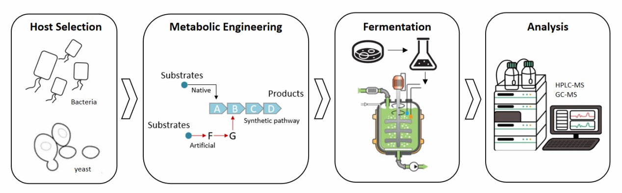 Fermentation for Antiviral Agent